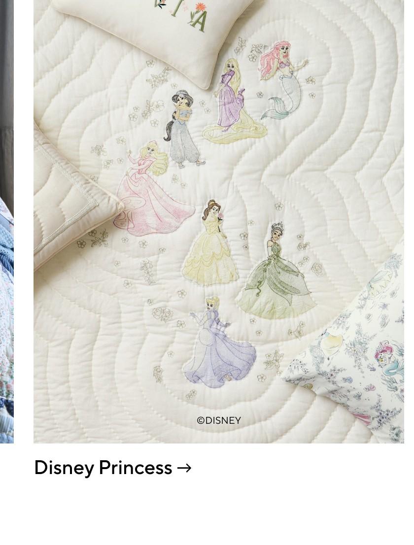Disney Princess